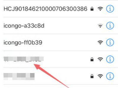 苹果手机自身的ip地址怎么查第3步