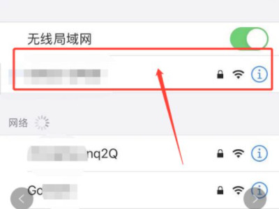 苹果手机自身的ip地址怎么查第4步