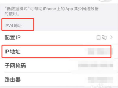 苹果手机自身的ip地址怎么查第5步