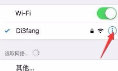 苹果手机自身的ip地址怎么查第2步