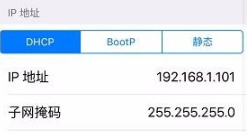 苹果手机自身的ip地址怎么查第3步