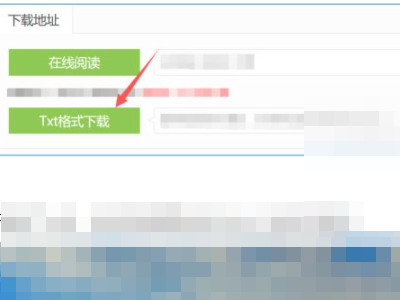 mp4怎么下载小说教程第3步