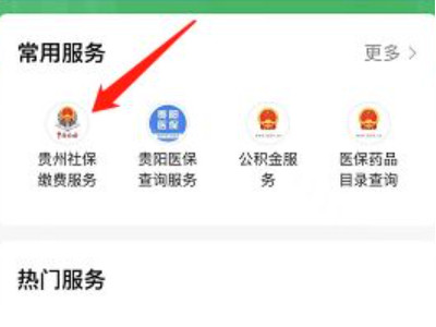 学生医保怎么在手机上缴费第3步