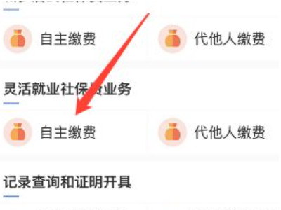 学生医保怎么在手机上缴费第5步