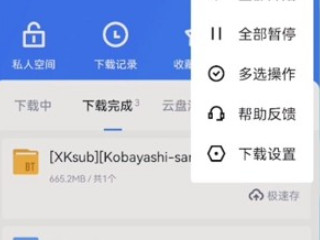 手机迅雷下载的文件存储位置第2步