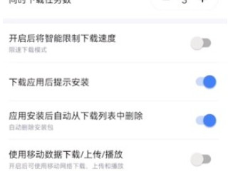 手机迅雷下载的文件存储位置第3步