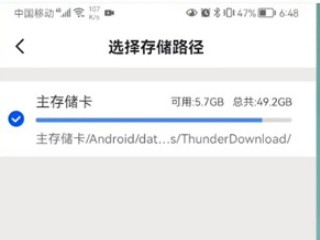 手机迅雷下载的文件存储位置第4步
