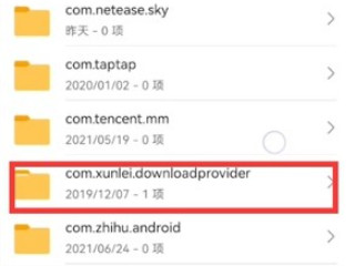 手机迅雷下载的文件存储位置第5步