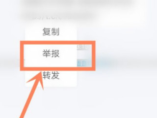 闲鱼怎么举报第5步