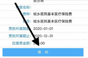 微信缴社保缴费失败怎么办第5步