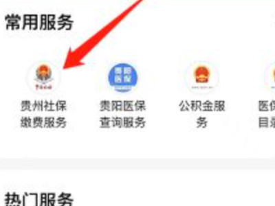 微信怎样缴纳医保费第3步