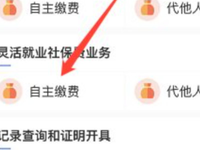 微信怎样缴纳医保费第5步