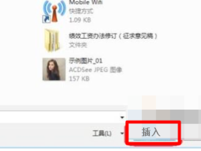 word文档插照片看不见是什么情况第2步
