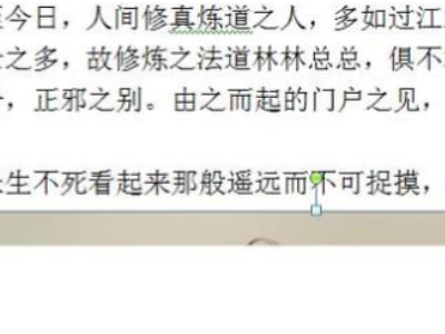 word文档插照片看不见是什么情况第3步