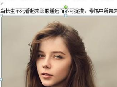 word文档插照片看不见是什么情况第5步