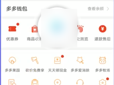 拼多多怎么选择2个不同的东西一块付款第2步