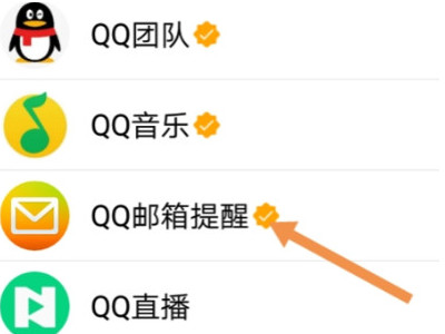 电子邮箱地址是填什么怎么注册第3步