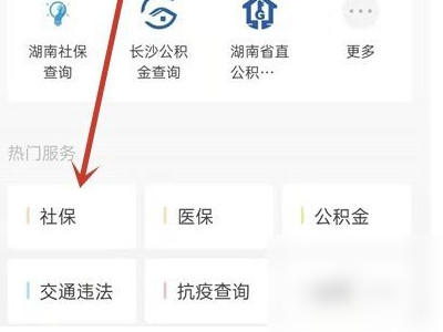 手机怎样查社保交了多少年第3步