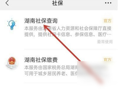 手机怎样查社保交了多少年第4步