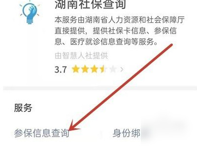 手机怎样查社保交了多少年第5步