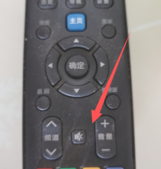 投屏只投画面不投声音第5步